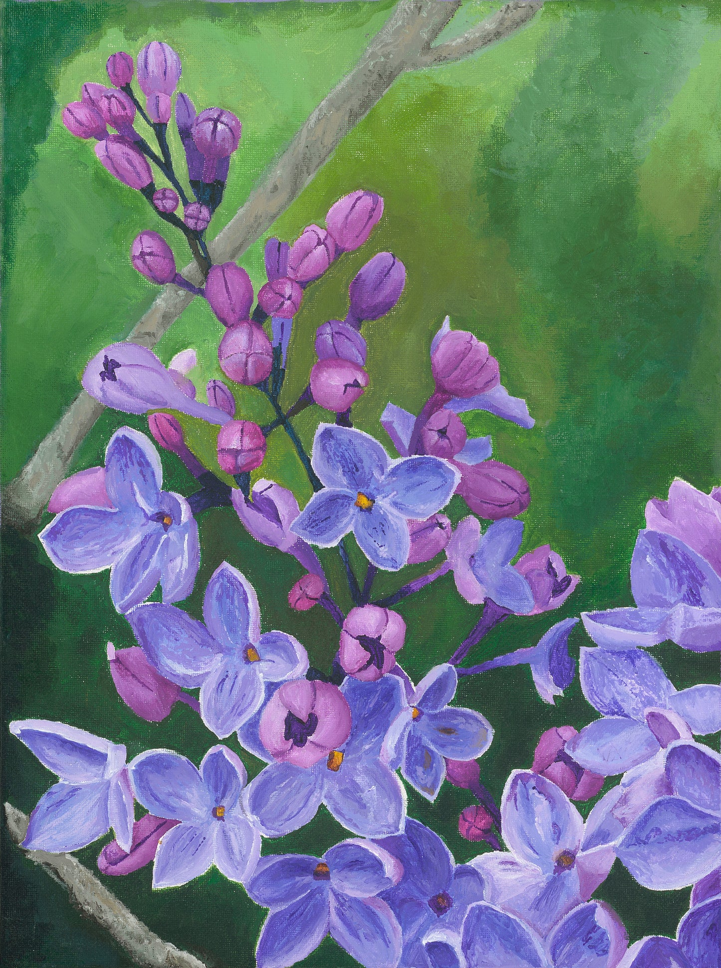 Lilac Print - Cotton Paper