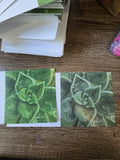 Cards - Misprints