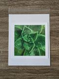 Prints