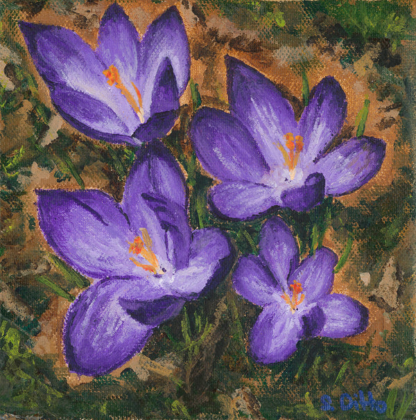 Crocuses