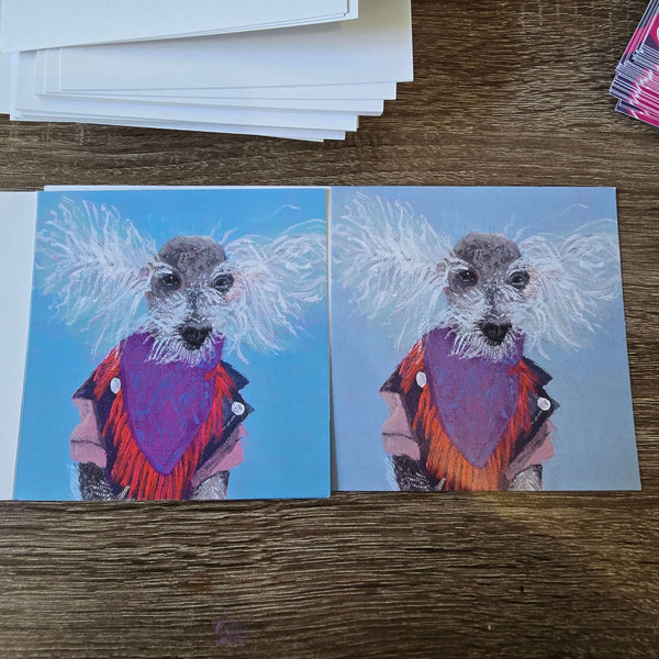 Cards - Misprints - S.Ditto Art