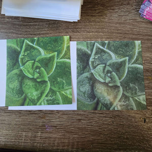 Cards - Misprints - S.Ditto Art