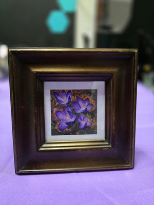 Crocus framed print - S.Ditto Art