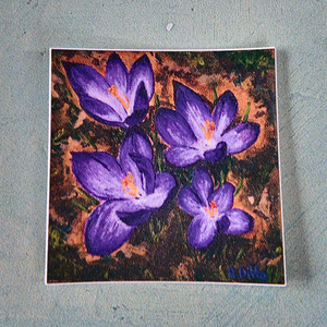 Crocuses - S.Ditto Art