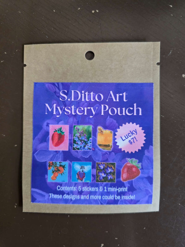 Mystery Pouch - S.Ditto Art
