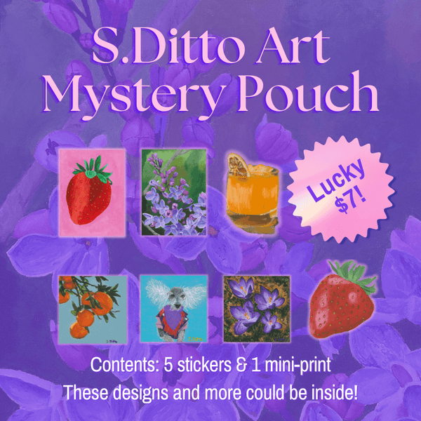 Mystery Pouch - S.Ditto Art