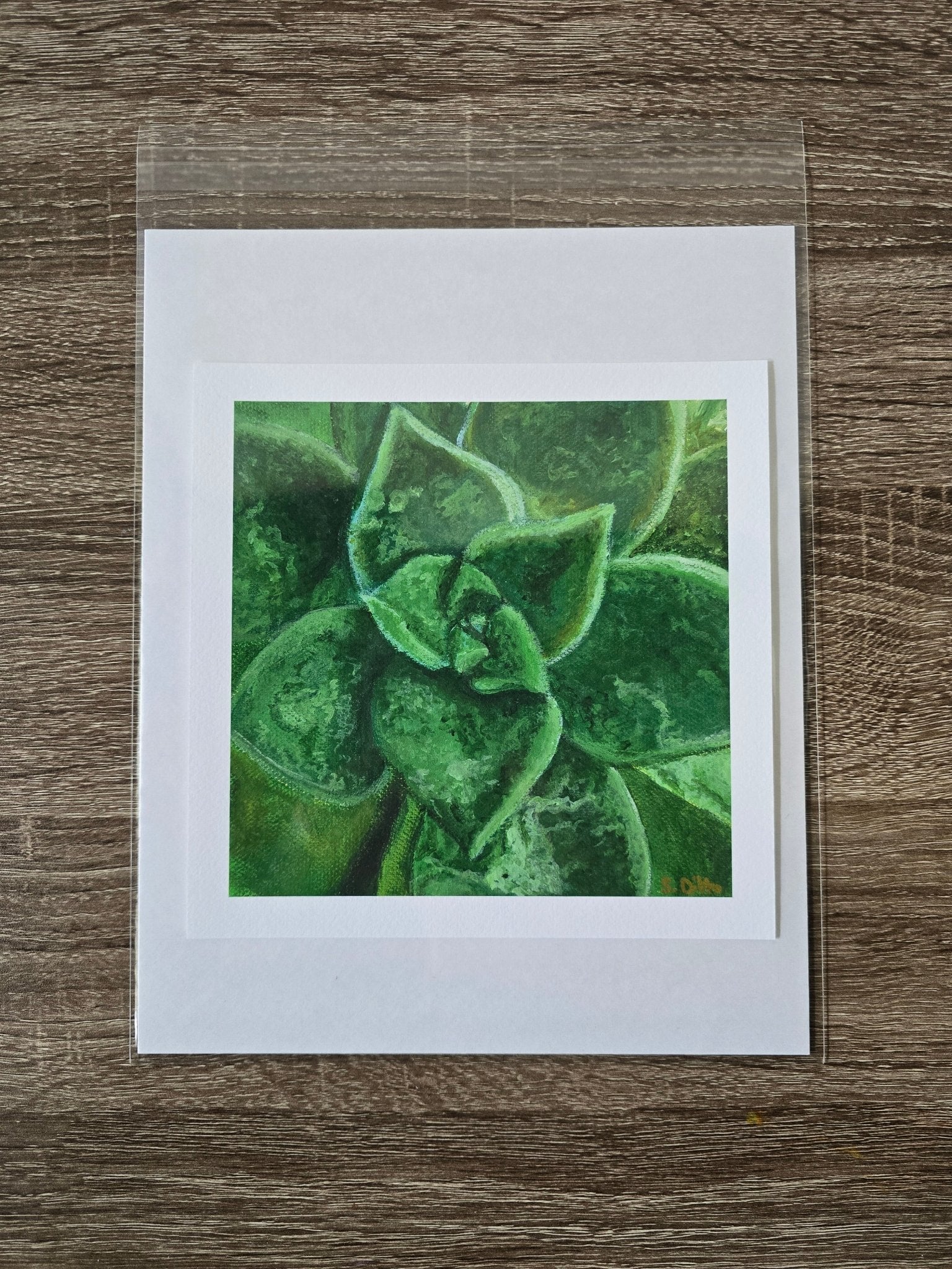 Prints - S.Ditto Art