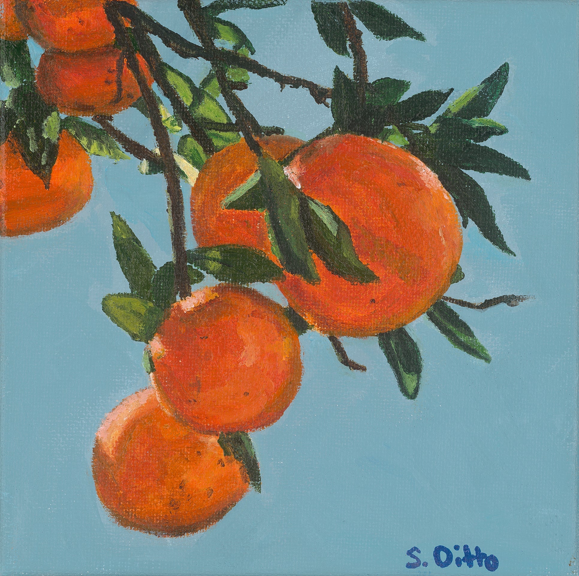 Prints - S.Ditto Art