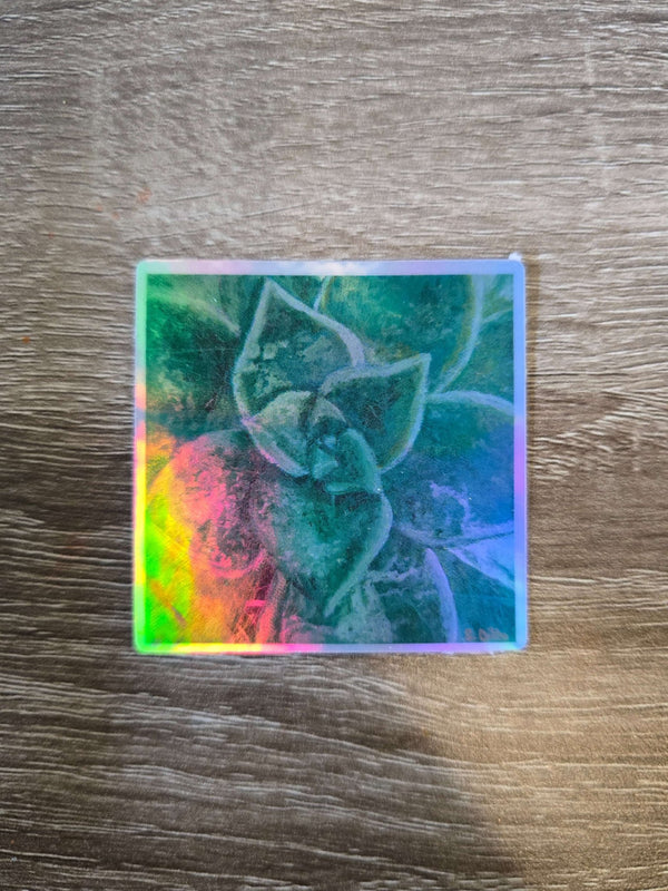 What the fucculent? - holographic