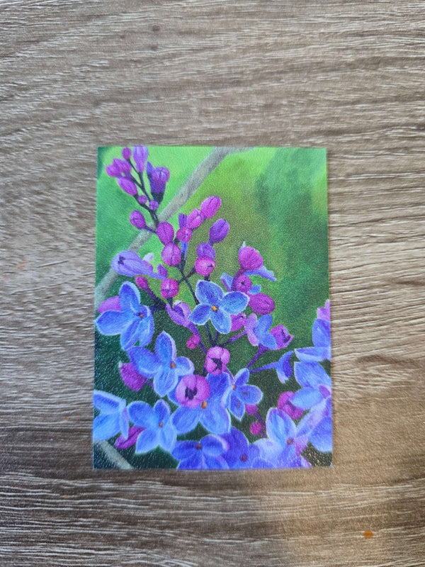 Lilacs