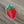 Strawberry 1.0 holographic