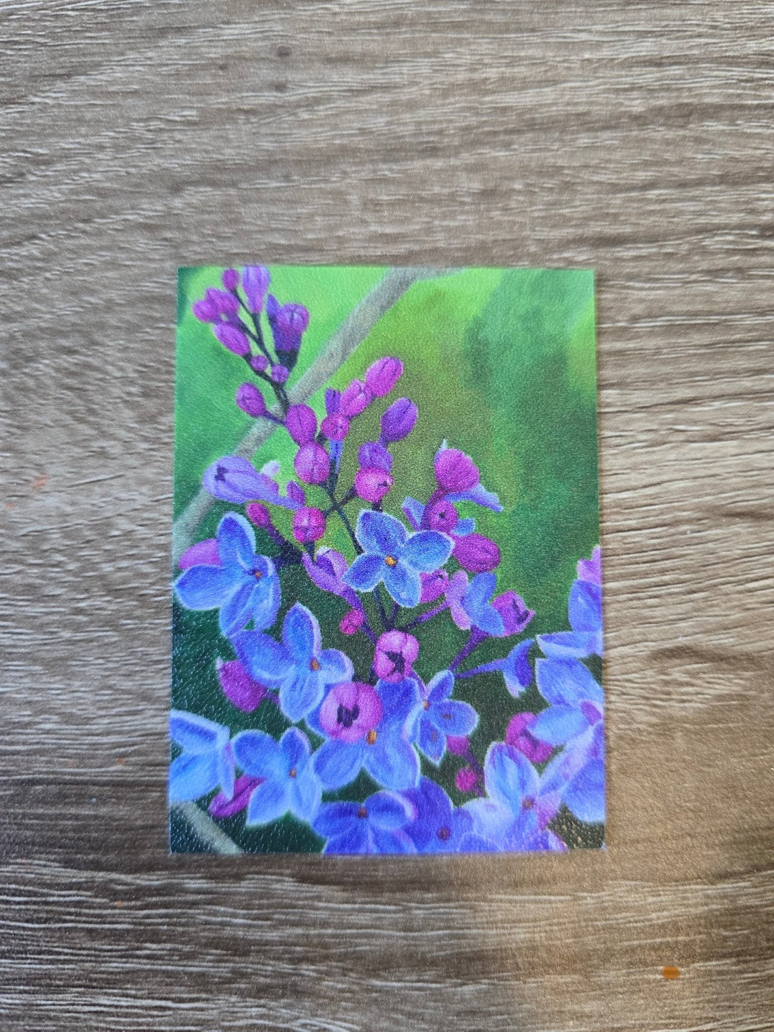 Stickers - Single - S.Ditto Art