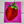 Strawberry 1.0 - pink background - S.Ditto Art