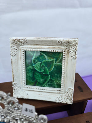 What the fucculent framed print - S.Ditto Art