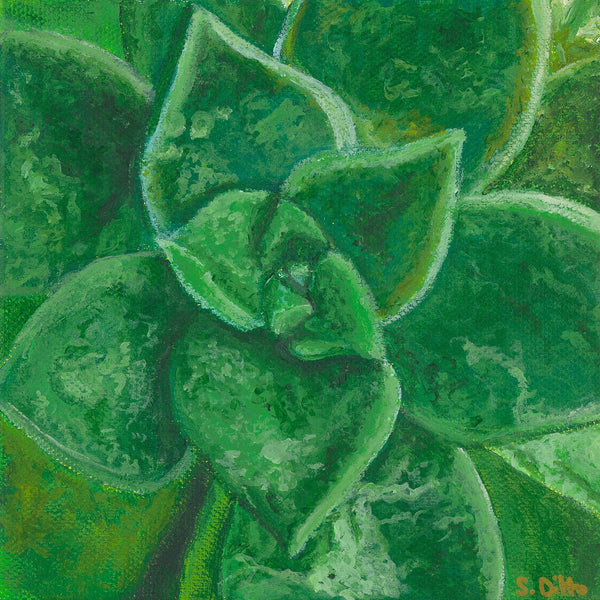 What the Fucculent? Painting - S.Ditto Art